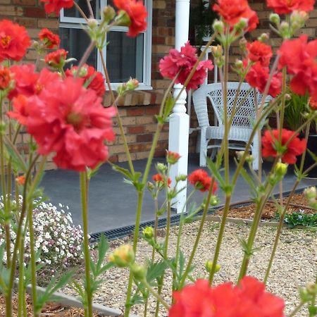 Hazelcreek Cottages Exeter Exteriér fotografie