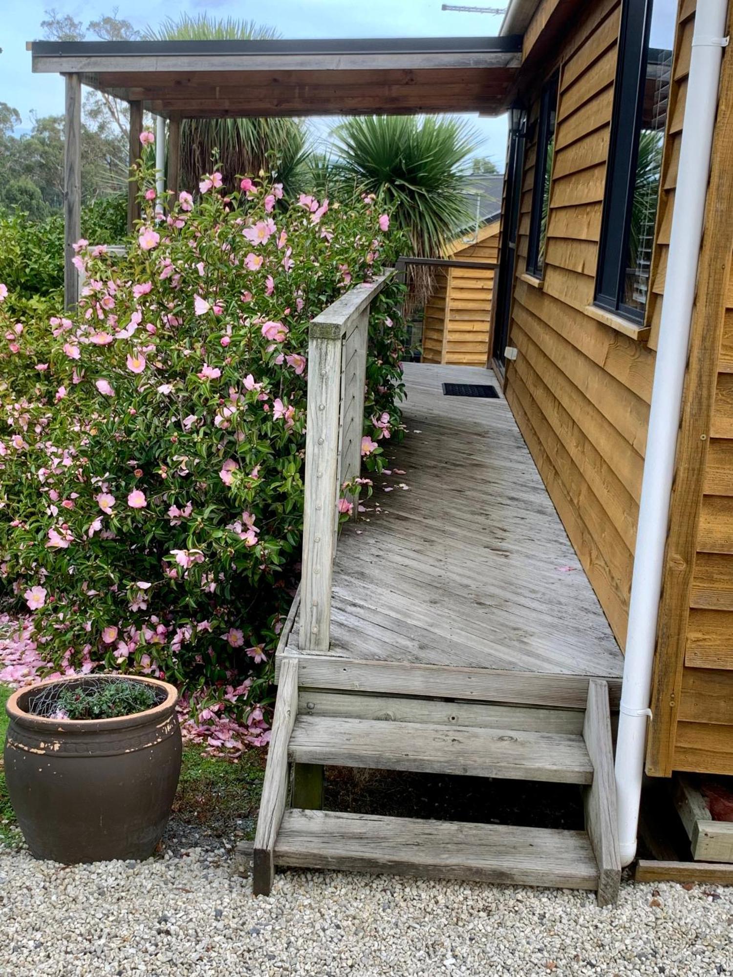 Hazelcreek Cottages Exeter Exteriér fotografie