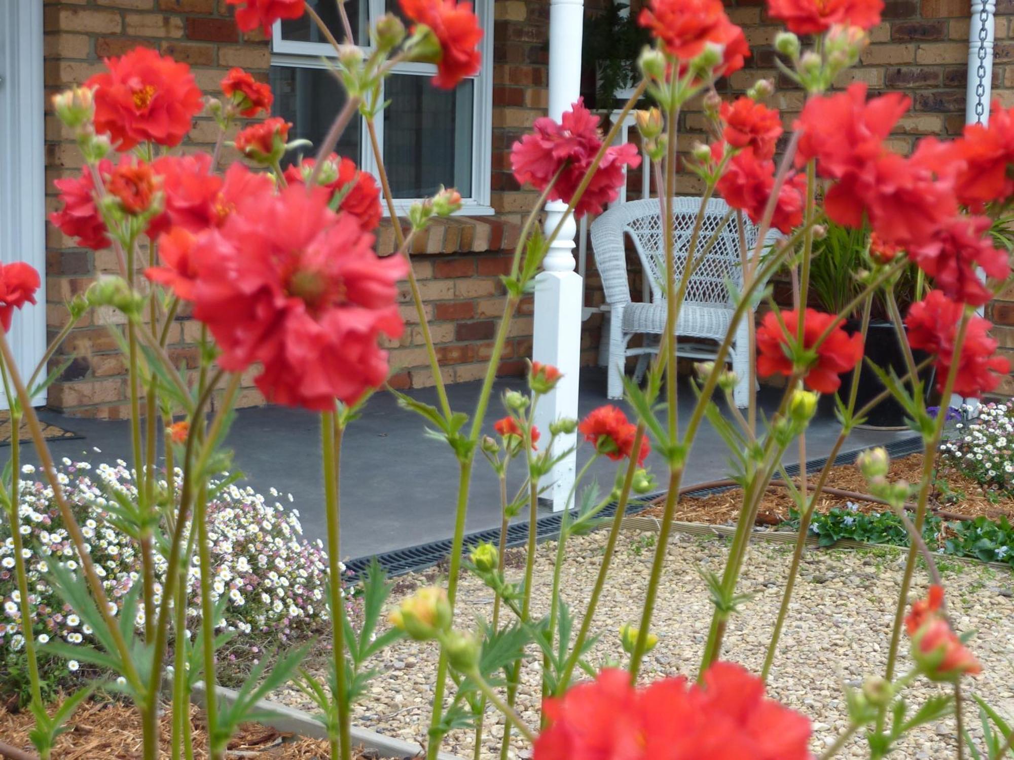 Hazelcreek Cottages Exeter Exteriér fotografie