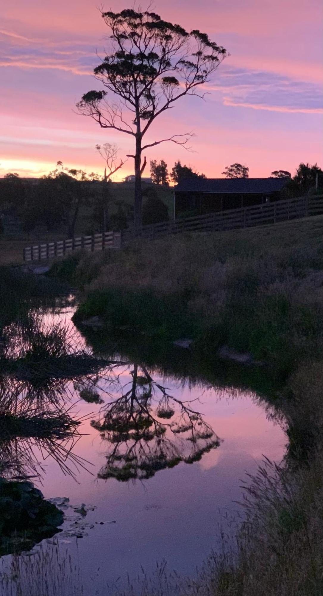 Hazelcreek Cottages Exeter Exteriér fotografie